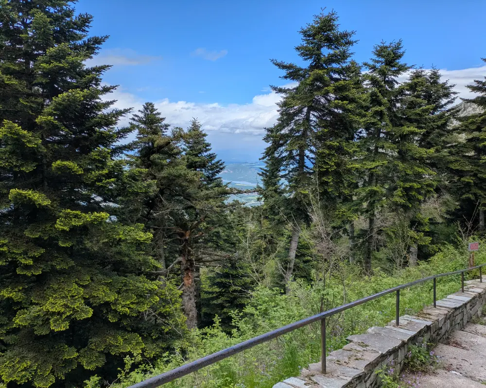 Another view from the refuge on the forest around it