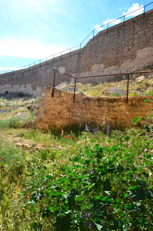 Enguídanos-8-5-2017 - Cuenca y sus pueblos-2009/2011/2015/2016/2017 (34)