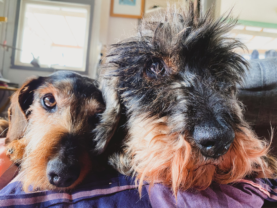 [Image: IMG-2119.jpg]