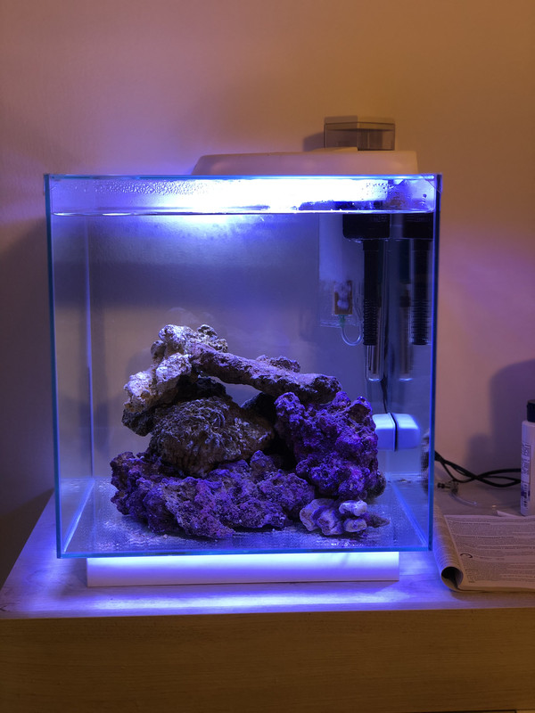 0612970A-0FAE-4FB7-BE16-6DAAB48502D4