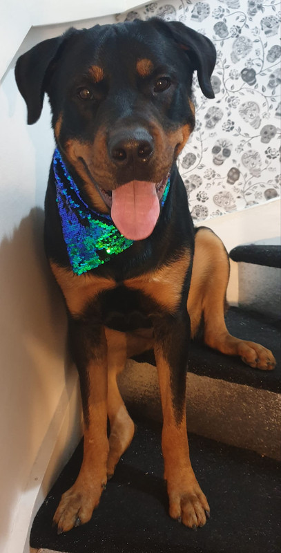 D1675CCB-9213-440A-95B0-A3F7CE6418D6