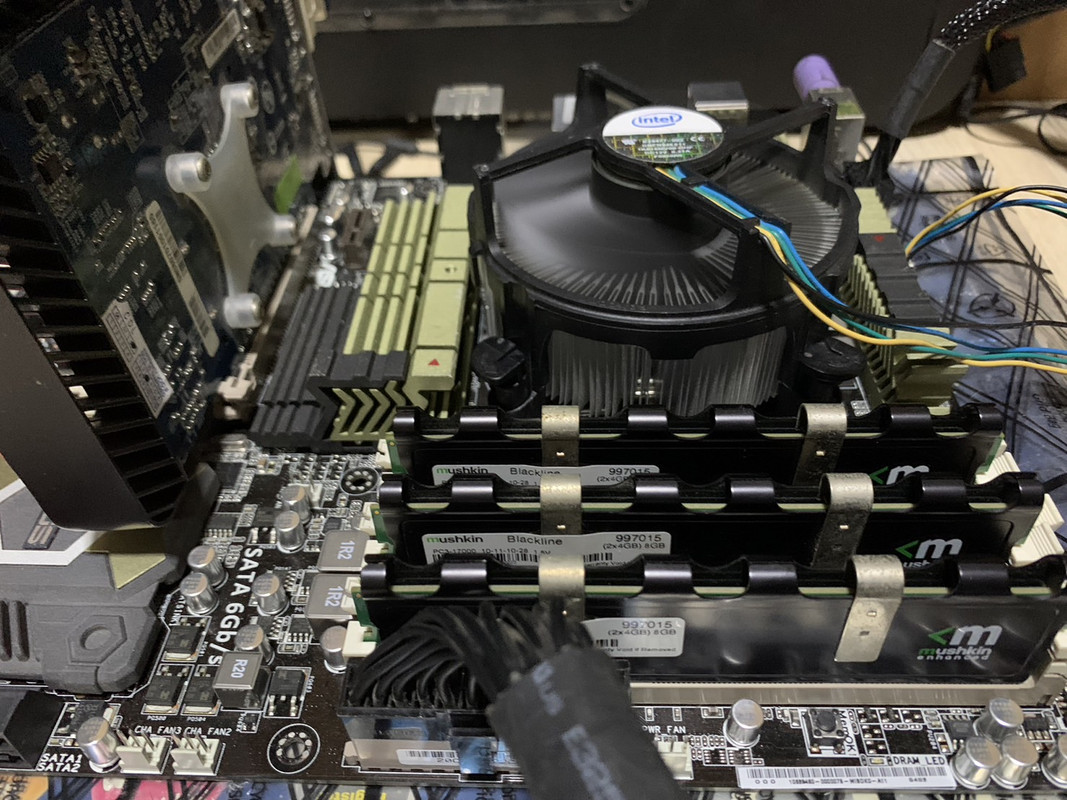 Sabertootj_came_from_fixed_เชียงใหม่(ช่างเม้ง)