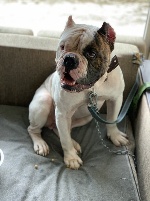 405927E5-031A-4CDA-AA4D-4F63AD3F440C