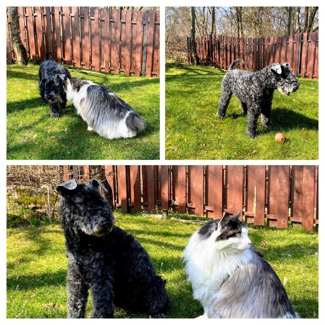 0-BFC044-E-FE8-E-4-D33-ADC5-5-F402-AA8-C