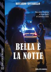 Riccardo Seccarello - Bella è la notte (2026)