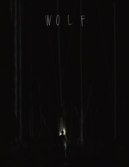 Wilk / Wolf (2017) PL.WEB-DL.XviD-GR4PE | Lektor PL