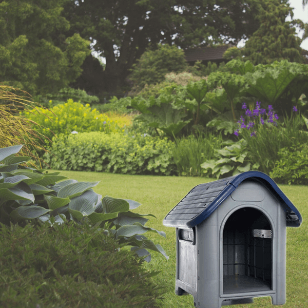outdoor dog kennel