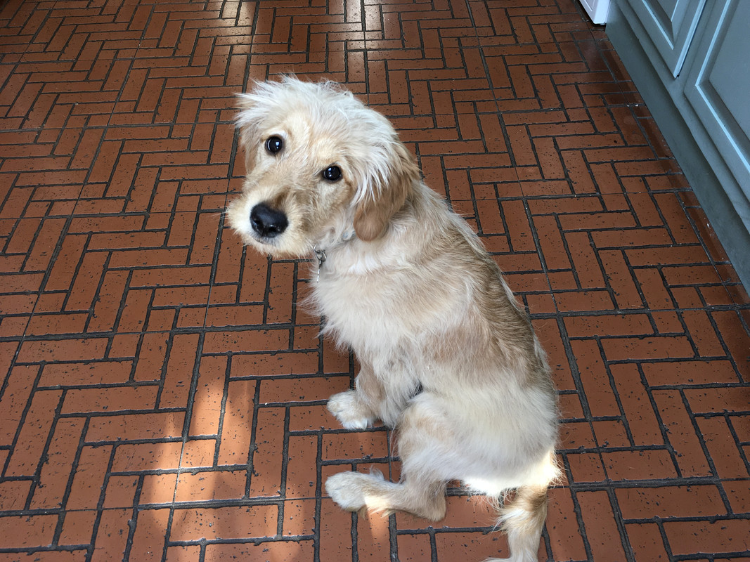 FA8E4FF3-AC68-4779-AE07-479B4AAB626C