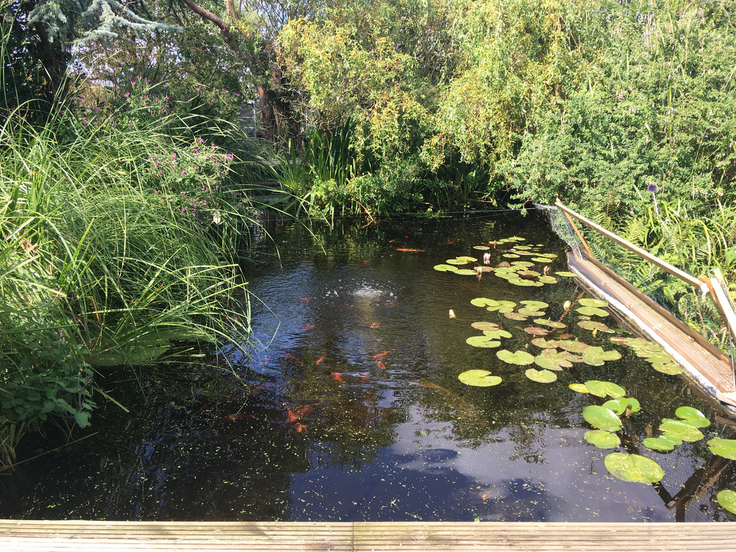 3354FDC6-7771-4BC2-A8B3-1B944DD07779