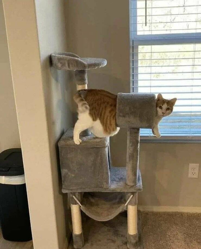 daily-picdump-50.jpg