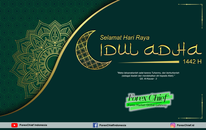 imgpsh_fullsize_anim (1)