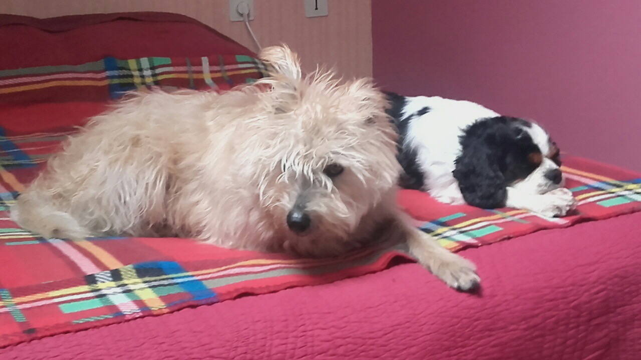 63378A54-74F0-4E81-AFE3-F34FFD95D6D0