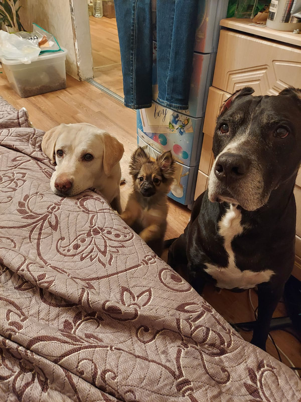 4DDB8152-E504-4F40-84BE-5D0506A0DF55