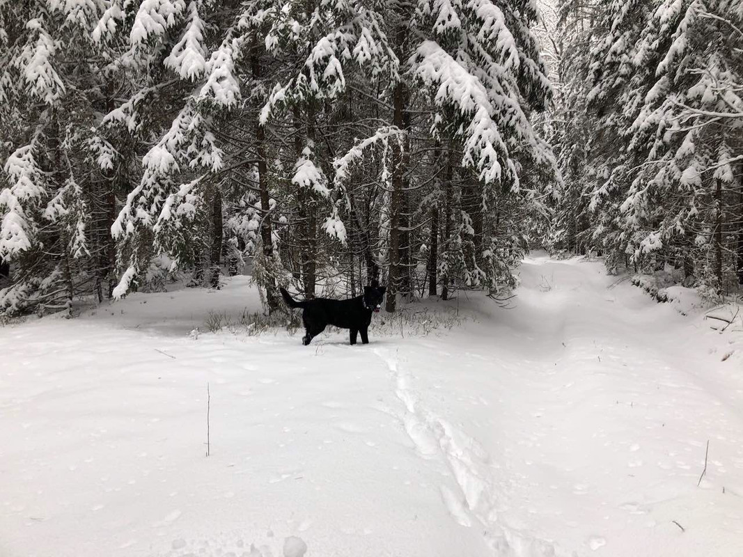 007FB707-3901-4288-8300-053F59C7BF91