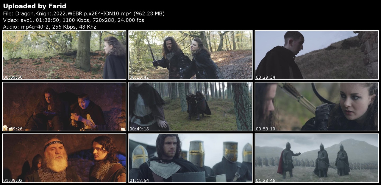 Dragon-Knight-2022-WEBRip-x264-ION10.jpg