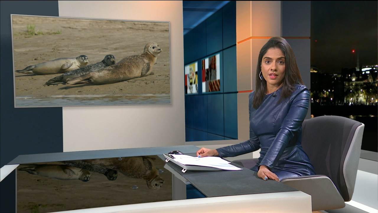 ITV News London_20210906_22302245.ts_snapshot_08.58.296
