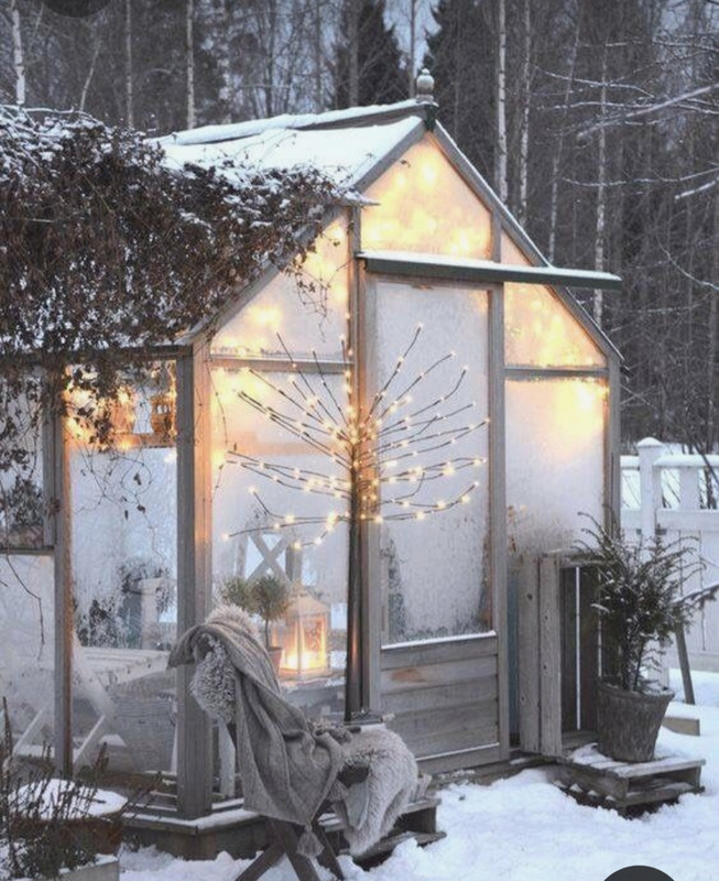 Screenshot_20231019_205744_Pinterest