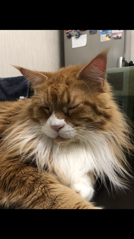 C723B692-A607-4BC1-8BE9-8598865C737F