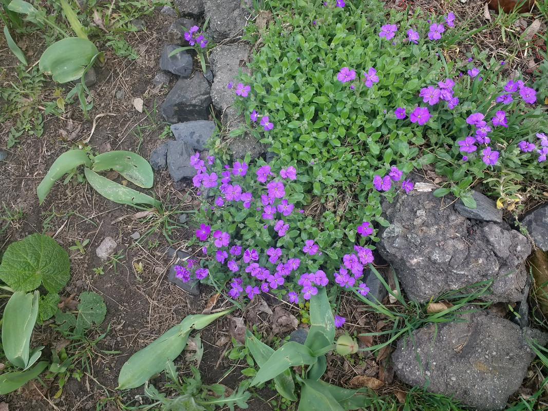 IMG-20190419-134048502.jpg