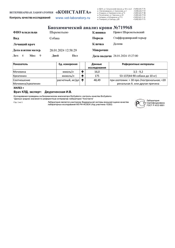 Биохимический анализ крови (719968)