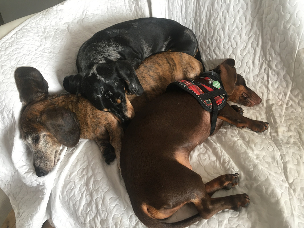 [Image: 218-FA215-6-C29-410-E-87-E0-C8493-A68-D256.jpg]