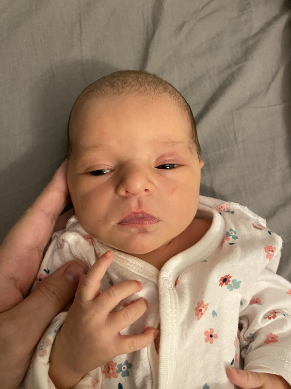 0A63E35B-43D6-4764-87D8-9840ABEC6DC0