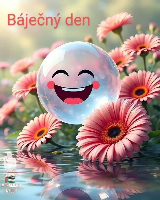e7c23128ca493f7cf822d3804629e1cc