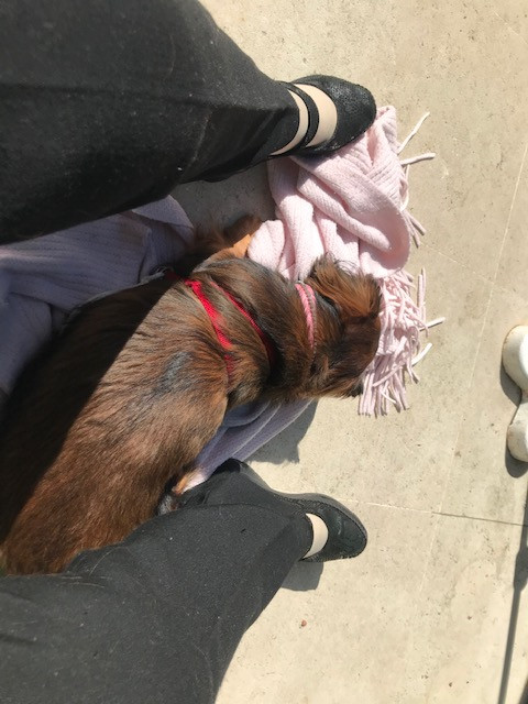 [Image: IMG-2930.jpg]