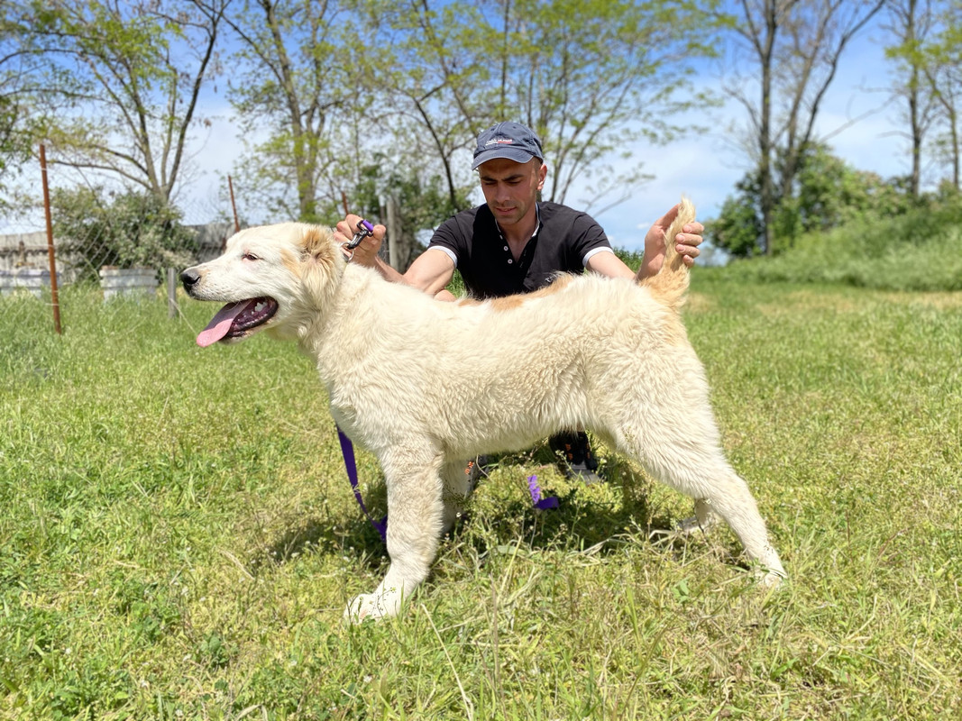 04BE8A12-BB4E-4C2D-9132-13D06159B232