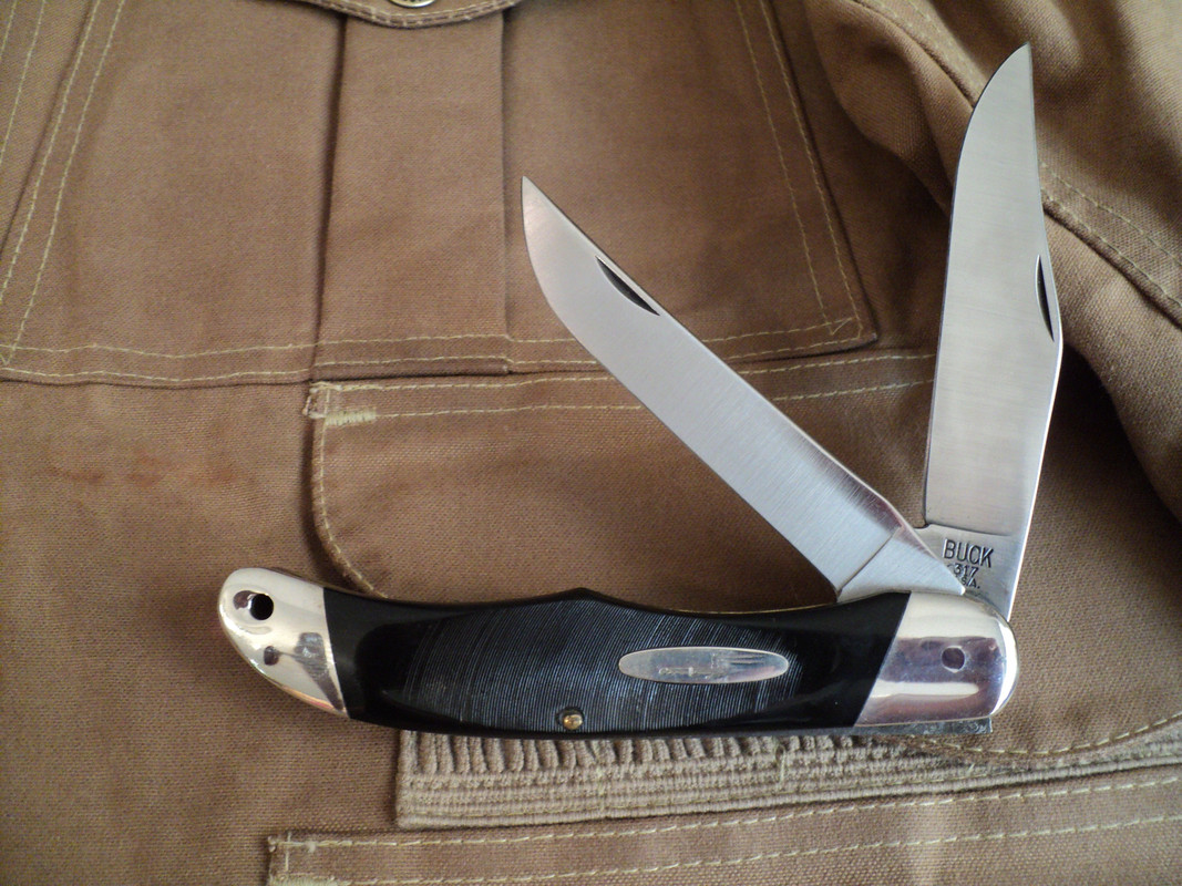 Buck-317.jpg