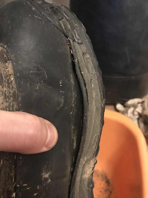 AFBFA709-3F71-4C4D-AE4C-4F7FD5F20D95