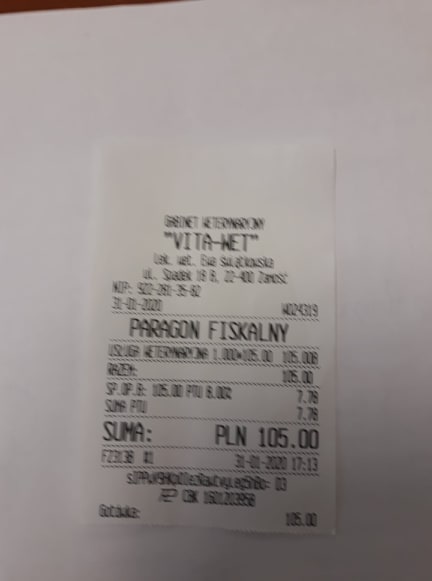 paragon-2-kot.jpg