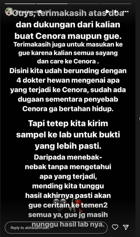 Alshad akui sudah tahu dugaan sementara Cenora mati.