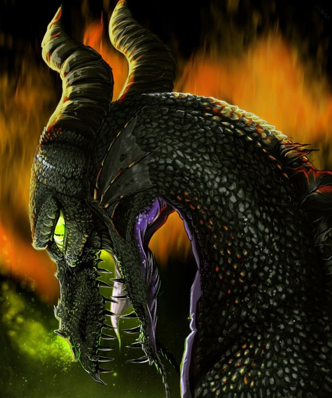 a007cfb137cfc0e77cd2999730e66762