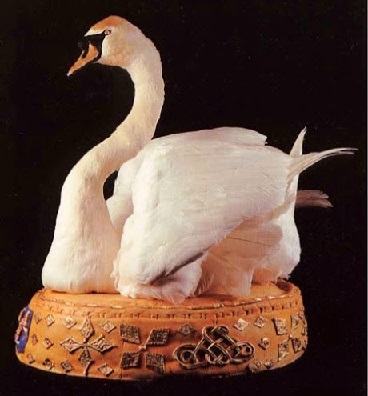 Dish of the Day - II - Page 6 Swan2