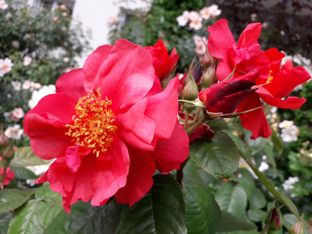 20190604_105456