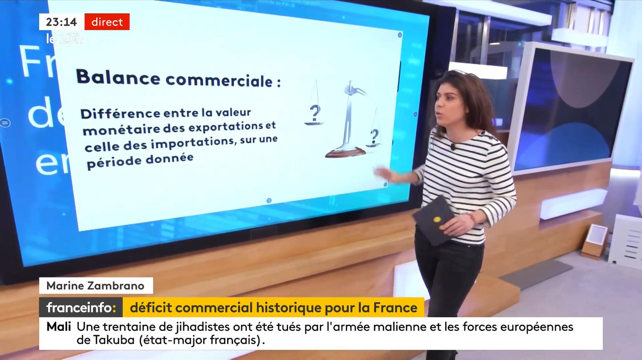 02.08 - 21.59.00 - Le 23H. Le Grand Jt Du Soir De France Télévisions,...-1.m4v_snapshot_00.17.39_[20