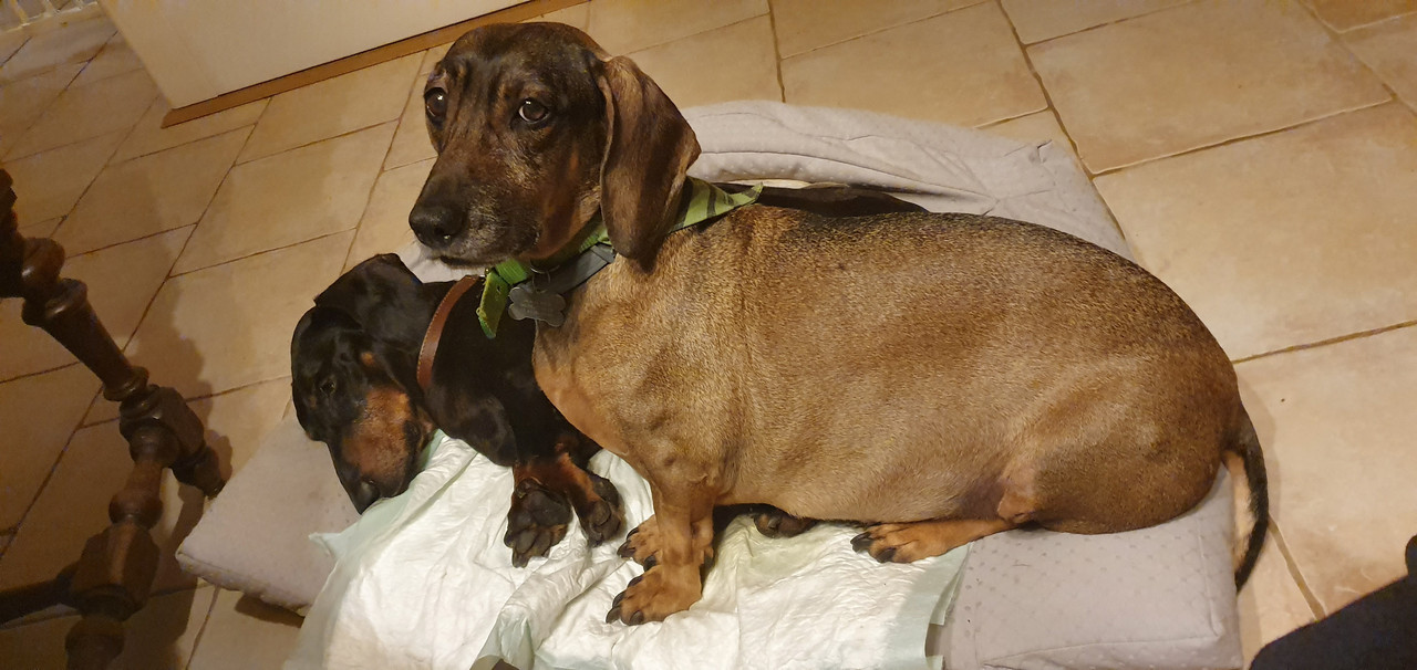 [Image: 20221113-224747.jpg]