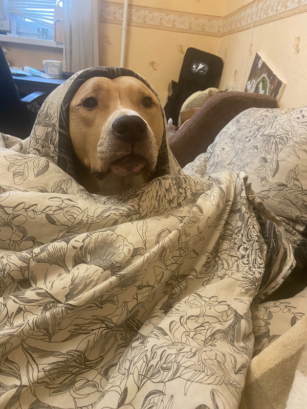 27E748A0-B3B1-4F14-8234-C4B4BB917498