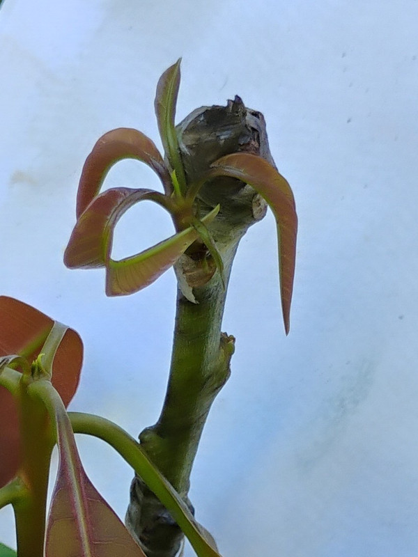 IMG_20250919_151840048~2