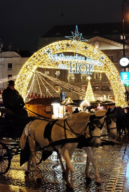 Viena - Bratislava - Praga, Navidad 2024 - Blogs de Europa Central - Mercados Navideños de Viena y Catedral (33)