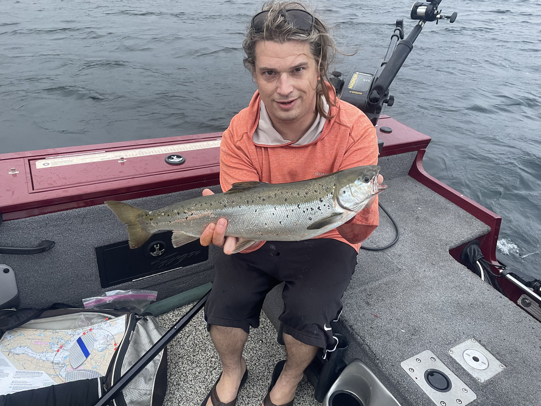 371D7AE1-DF62-445C-BCBA-DA274463EEEF