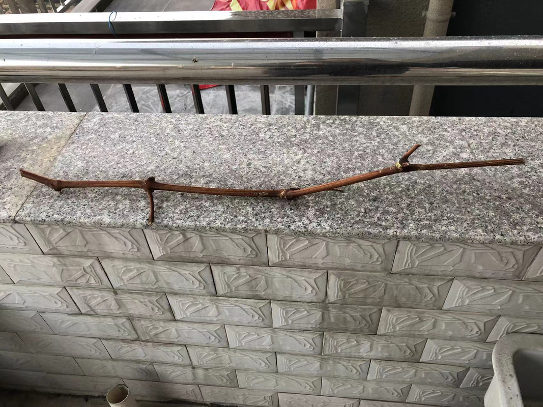 微信图片_20231227171212