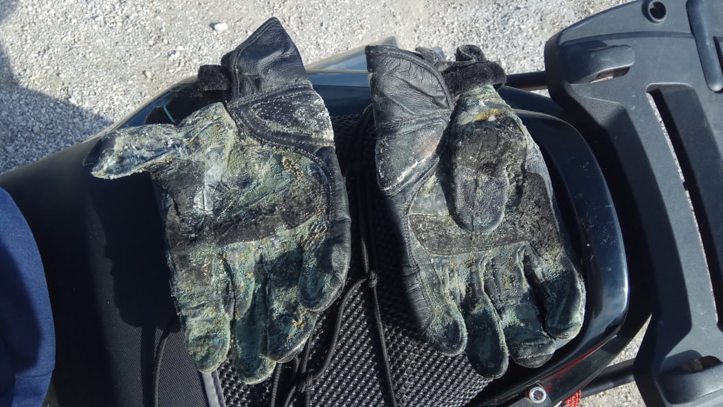 Whats-App-Image-2018-10-30-at-3-07-31-PM