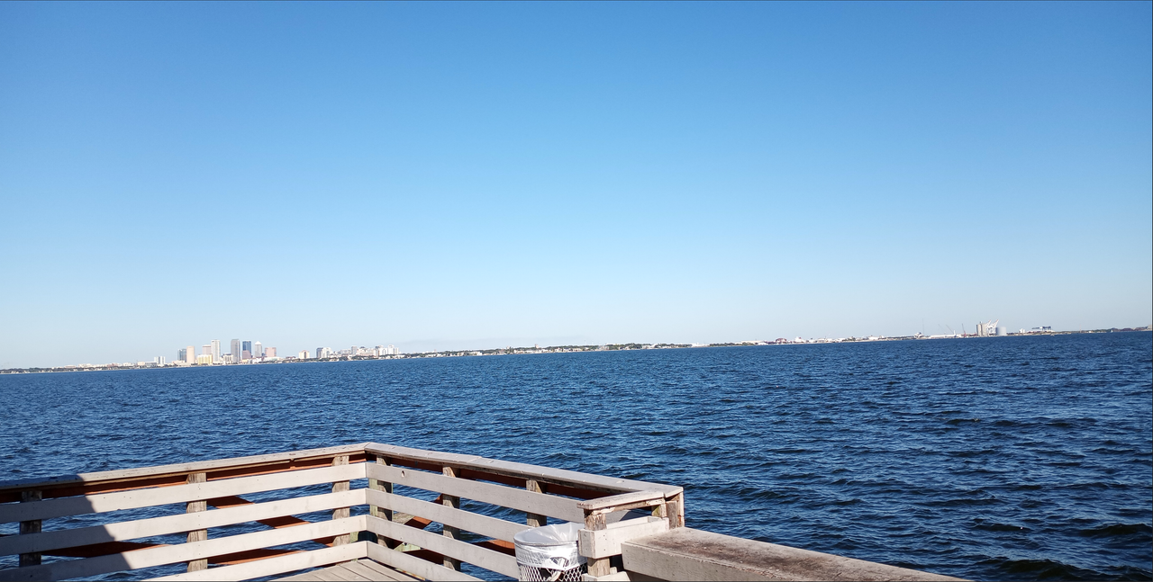[Image: Bayshore-Blvd-Tampa2.png]