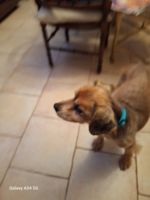 [Image: 20241021-212254-0.jpg]