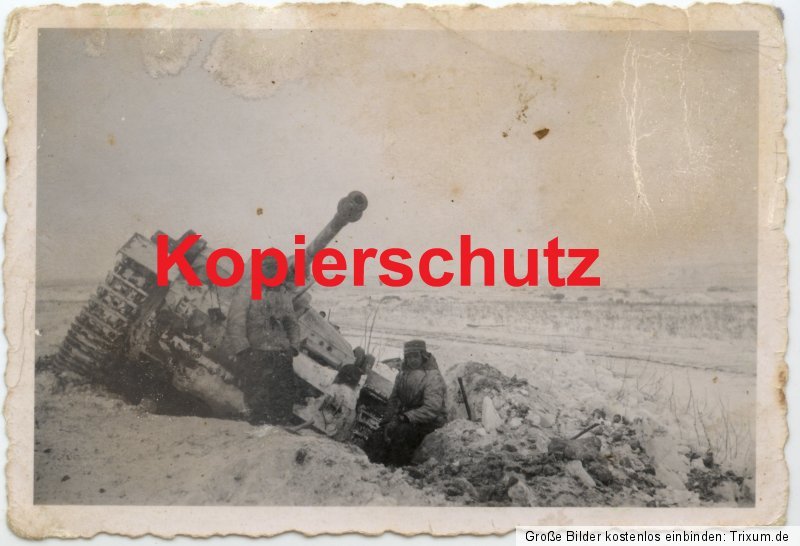 Orig. Fotos Sturmgeschütz-Abt. GD Elite Ordensve