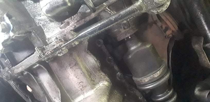 [Obrazek: received-555215829576159.jpg]