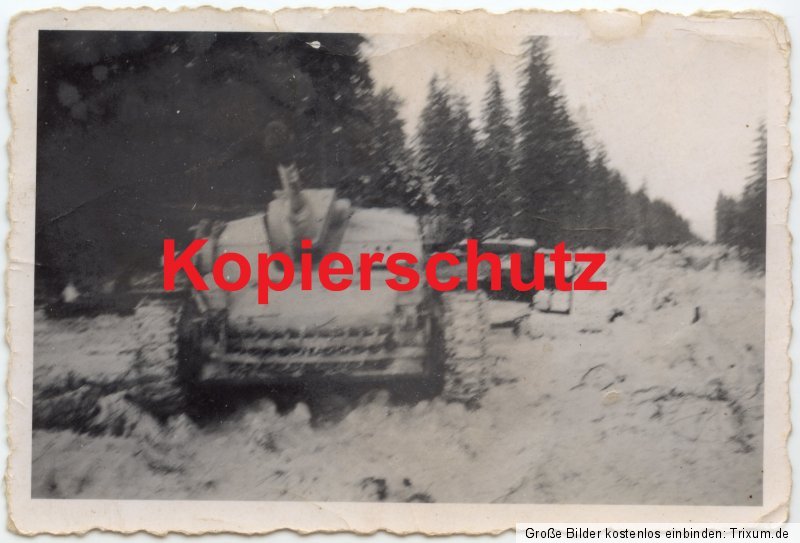 Orig. Fotos Sturmgeschütz-Abt. GD Elite Ordensve
