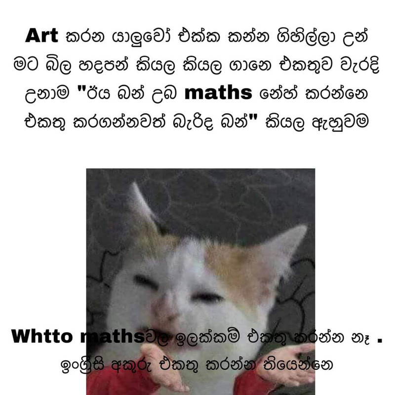 FB-IMG-1662230415197.jpg